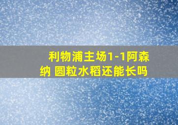 利物浦主场1-1阿森纳 圆粒水稻还能长吗